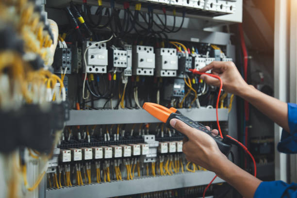 Best Electric Panel Repair  in Eldora, IA